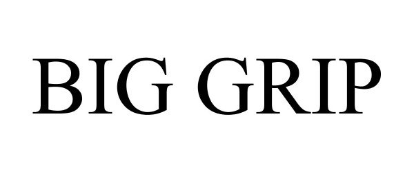 Trademark Logo BIG GRIP