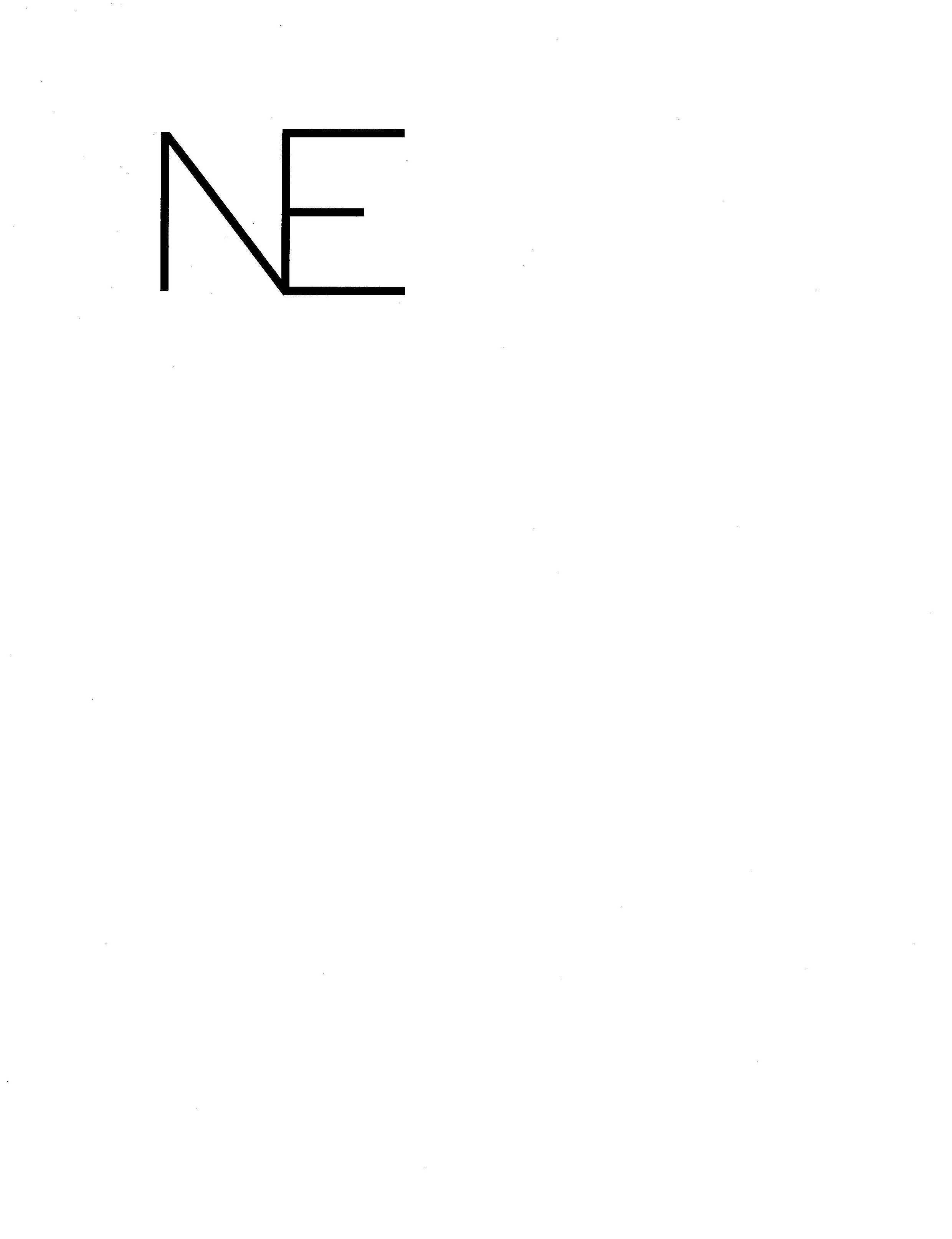 Trademark Logo NE