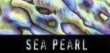 Trademark Logo SEA PEARL