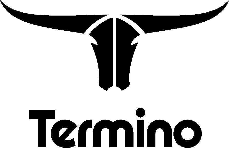  TERMINO