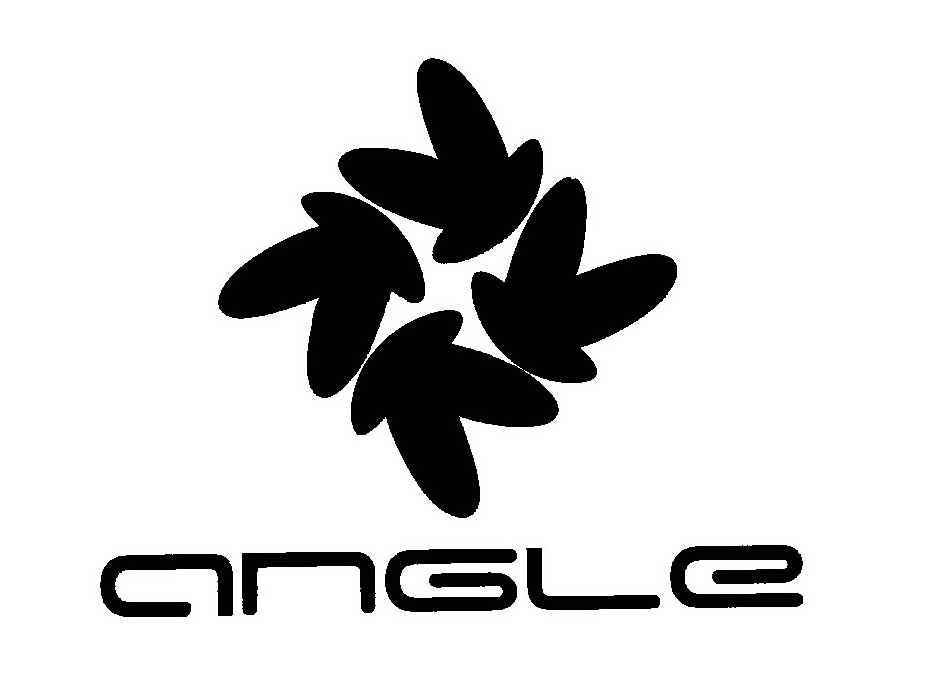 Trademark Logo ANGLE