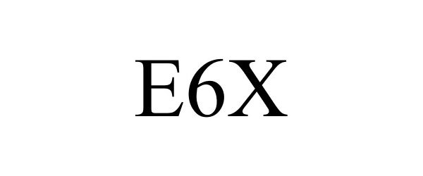  E6X