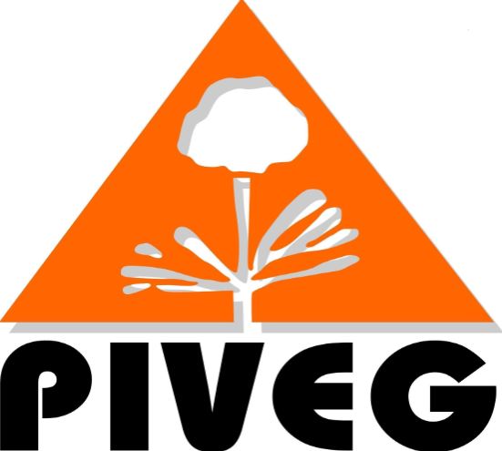 Trademark Logo PIVEG