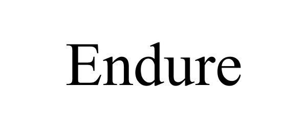 Trademark Logo ENDURE