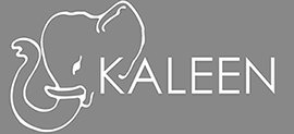 Trademark Logo KALEEN