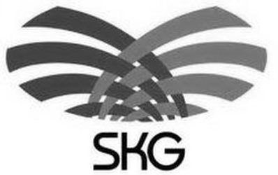 Trademark Logo SKG