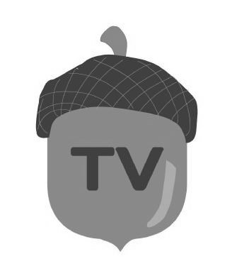 Trademark Logo TV