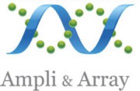  AMPLI &amp; ARRAY