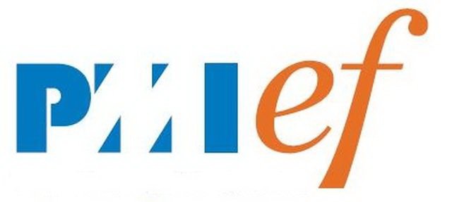 Trademark Logo PMIEF
