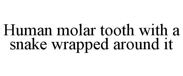 Trademark Logo HUMAN MOLAR TOOTH WITH A SNAKE WRAPPED AROUND IT