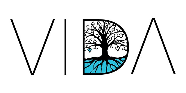 Trademark Logo VIDA