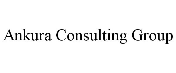  ANKURA CONSULTING GROUP