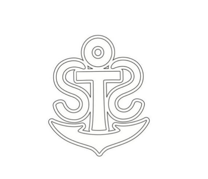 Trademark Logo STS