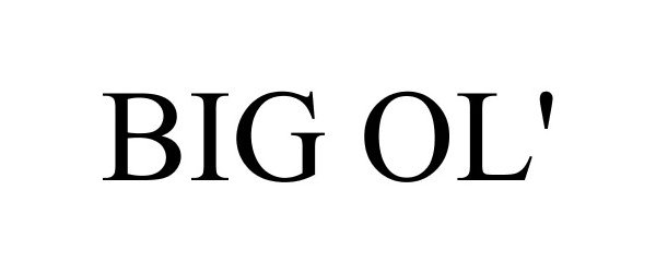 Trademark Logo BIG OL'