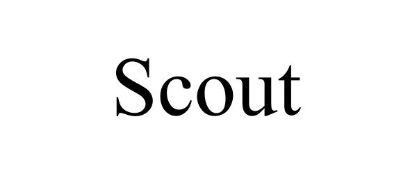  SCOUT