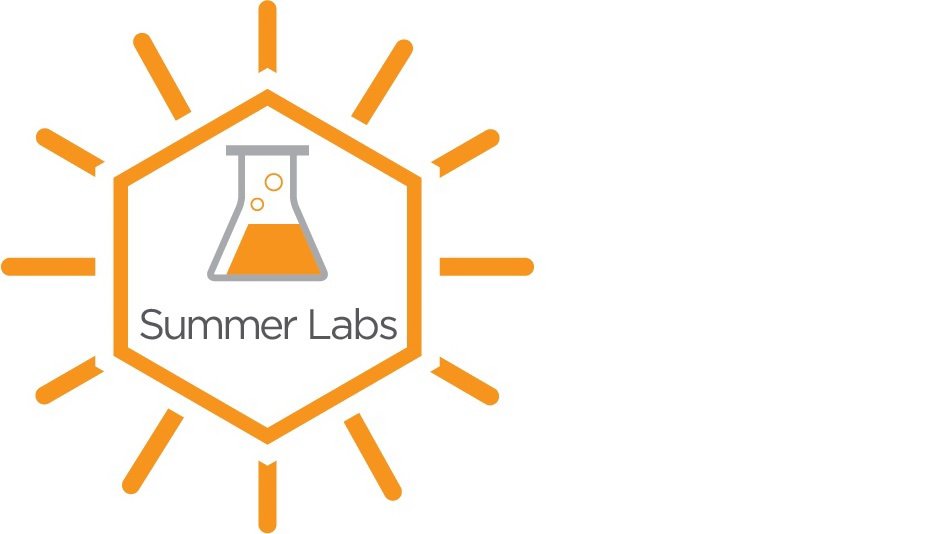  SUMMER LABS