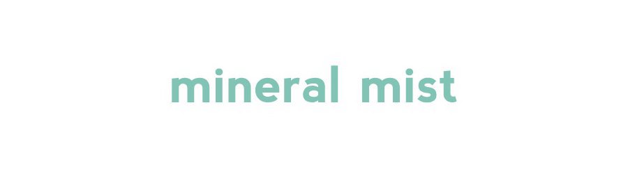 Trademark Logo MINERAL MIST