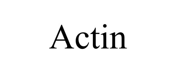 Trademark Logo ACTIN