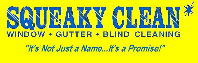 Trademark Logo SQUEAKY CLEAN WINDOW Â· GUTTER Â· BLIND CLEANING IT'S NOT JUST A NAME... IT'S A PROMISE