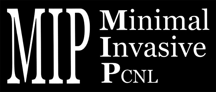 Trademark Logo MIP MINIMAL INVASIVE PCNL