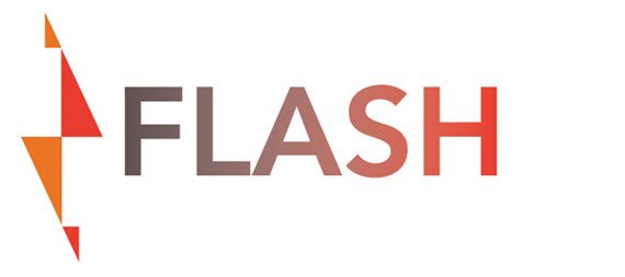 Trademark Logo FLASH