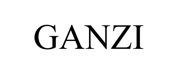Trademark Logo GANZI