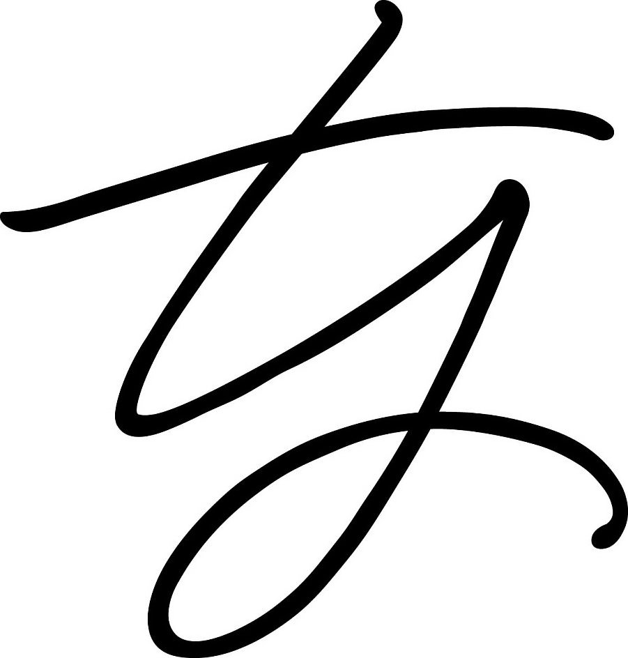 Trademark Logo TY