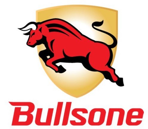  BULLSONE