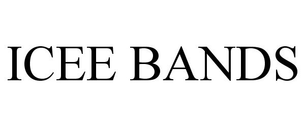 Trademark Logo ICEE BANDS