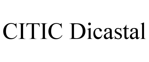  CITIC DICASTAL