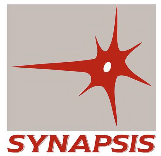 SYNAPSIS