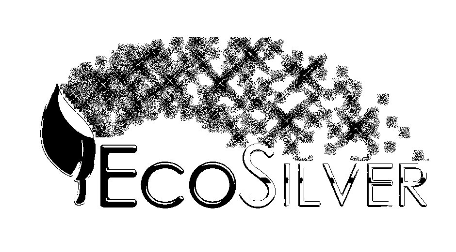 Trademark Logo ECOSILVER