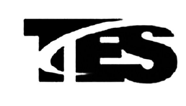 Trademark Logo TES