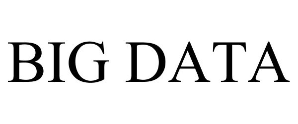 Trademark Logo BIG DATA