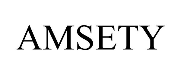 Trademark Logo AMSETY
