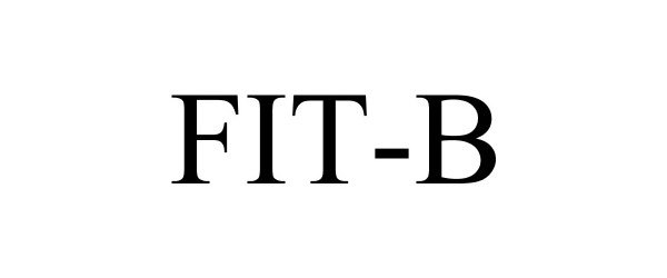 FIT-B