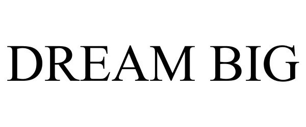Trademark Logo DREAM BIG