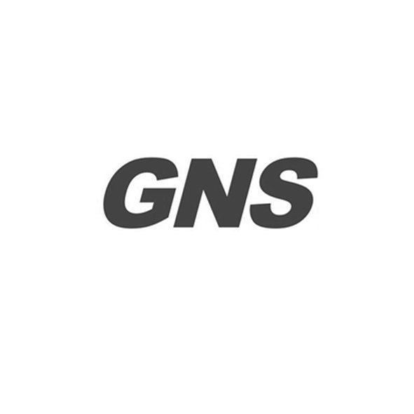 Trademark Logo GNS