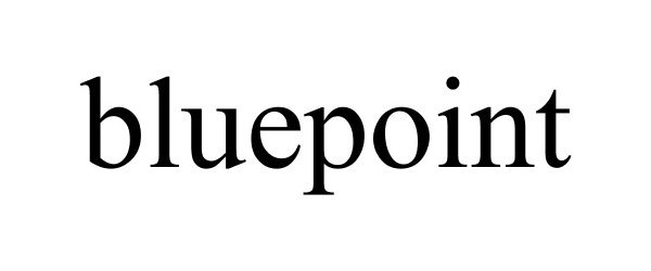 Trademark Logo BLUEPOINT