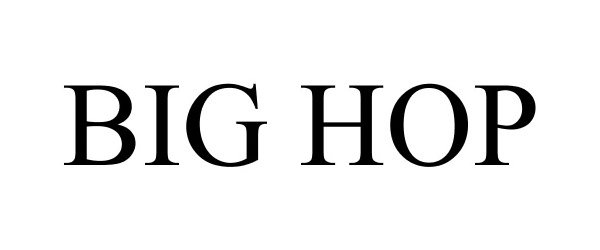 Trademark Logo BIG HOP