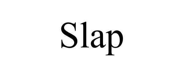 Trademark Logo SLAP