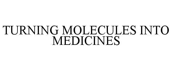  TURNING MOLECULES INTO MEDICINES