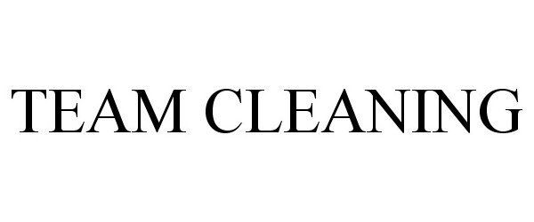 TEAM CLEANING