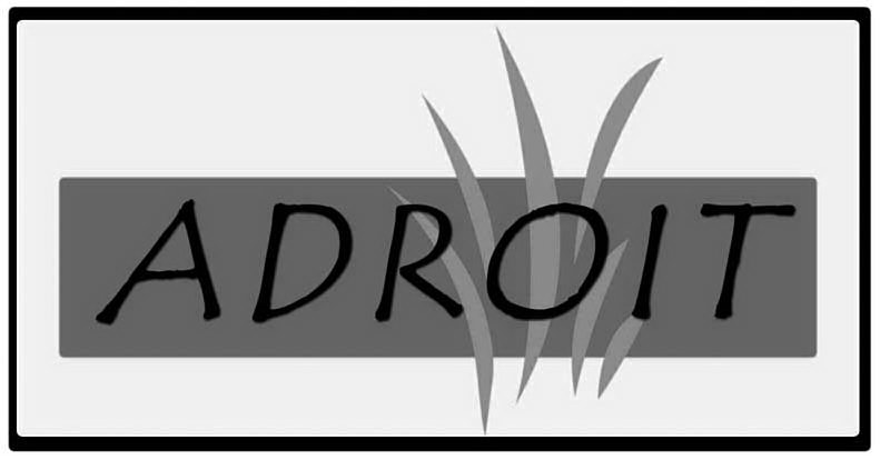 Trademark Logo ADROIT