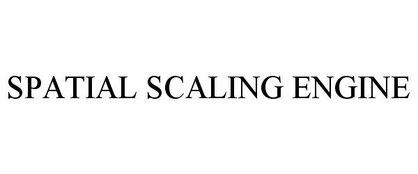  SPATIAL SCALING ENGINE