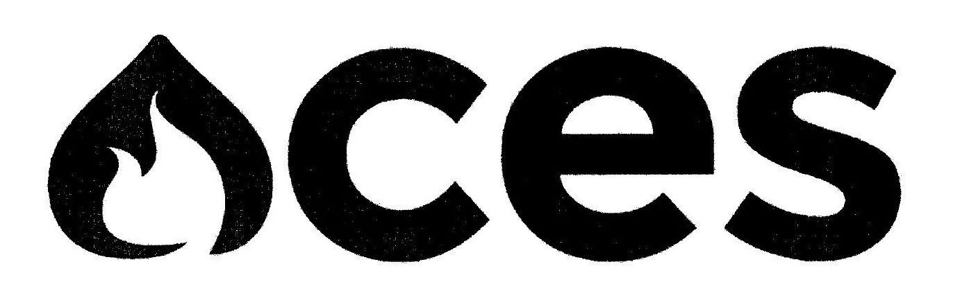 Trademark Logo ACES