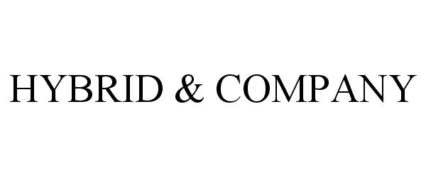 Trademark Logo HYBRID & COMPANY