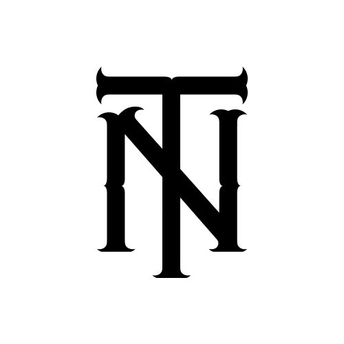 Trademark Logo NT