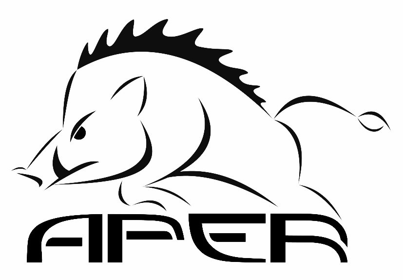 Trademark Logo APER