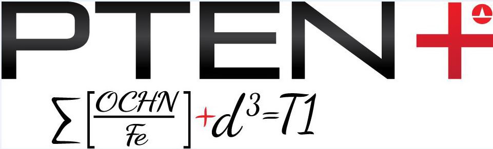 Trademark Logo PTEN + A